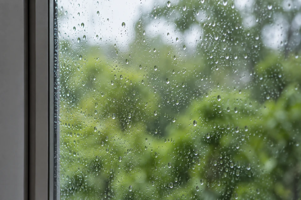 住宅空间灵感：细小雨珠停留在住宅窗玻璃上，窗框与远处绿树在柔和景深中呈现潮湿清晨。